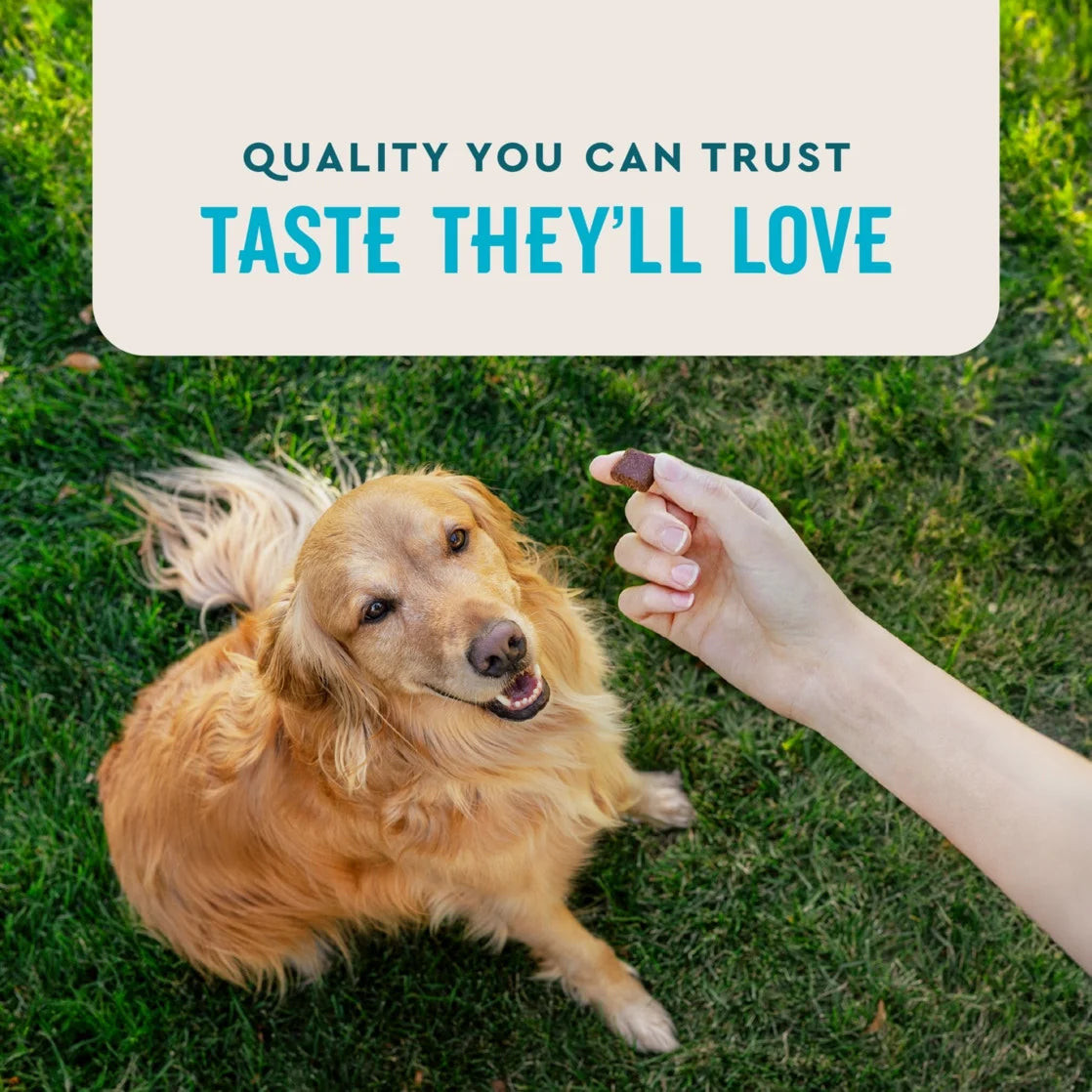 (3 Pack)  Hip & Joint Supplement for Dogs, Chicken Flavored Soft Chews, 60 Count Soft Chews