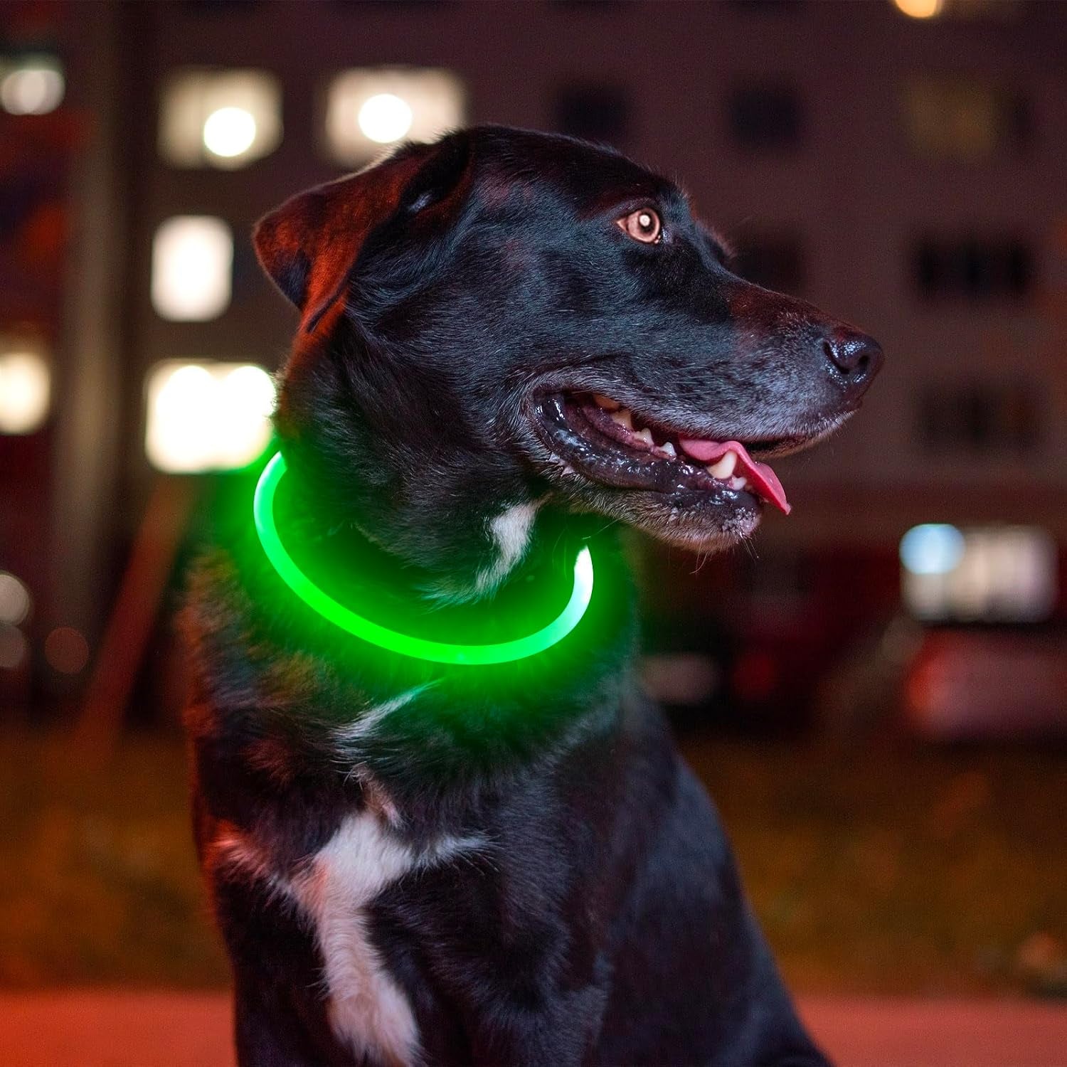 Led Dog Collar,  USB Rechargeable Flash Dog Necklace Light, Pet Safety Collar Makes Your Beloved Dogs Be Seen at Night for Small Medium Large Dogs(Green)