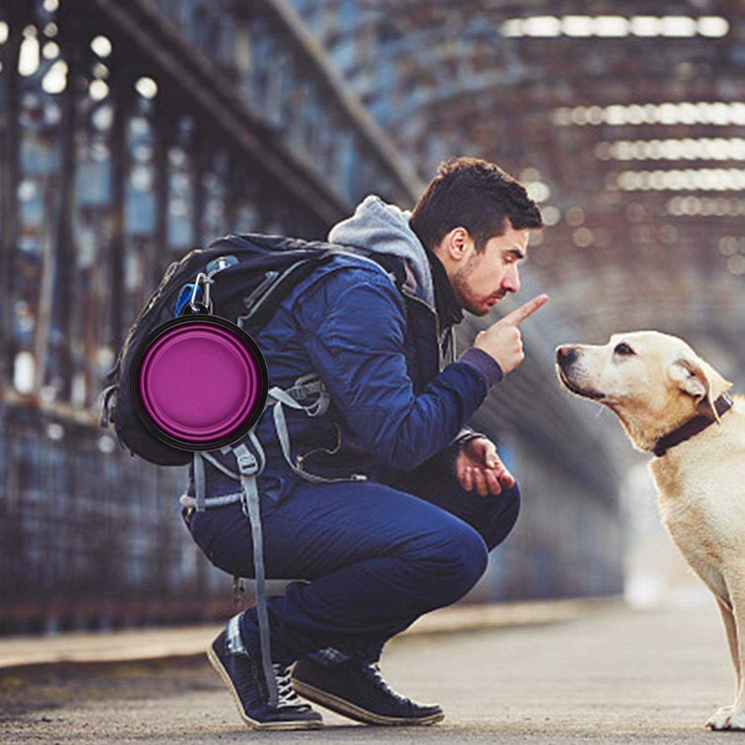 Large Collapsible Dog Bowls, 34Oz Travel Water Food Bowls Portable Foldable Collapse Dishes with Carabiner Clip, 2 Pack (Purple+Red)